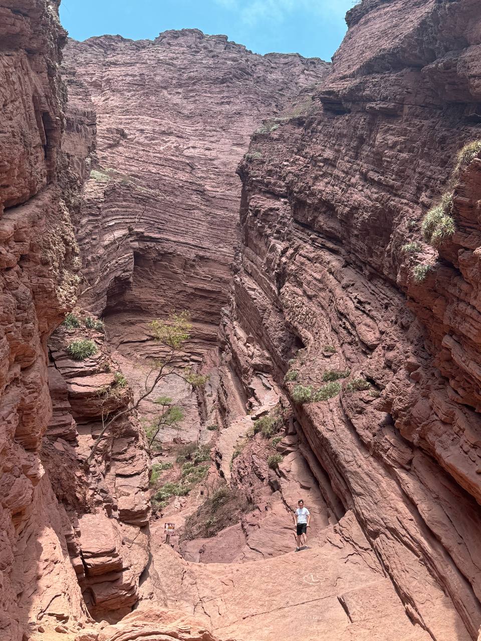 Red rock canyon of the Quebrada
