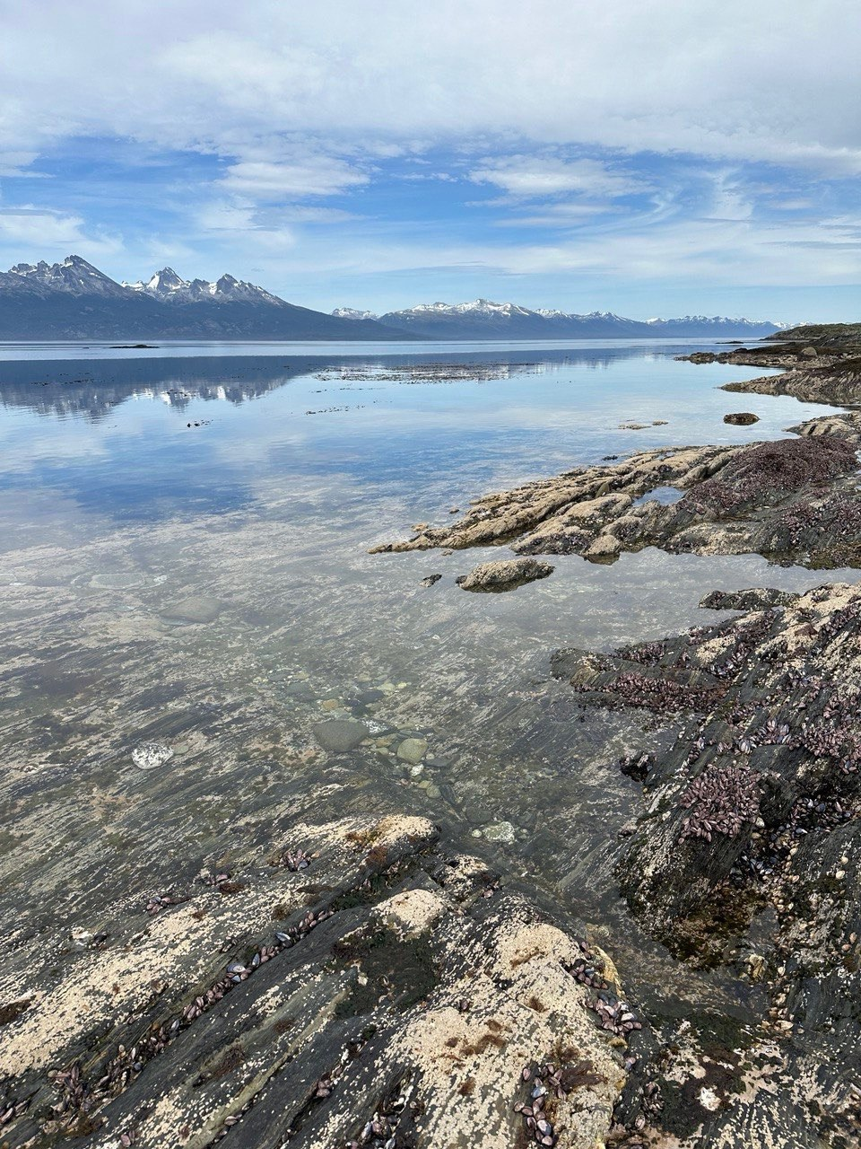 Rocky shoreline and calm waters of the Beagle Channel