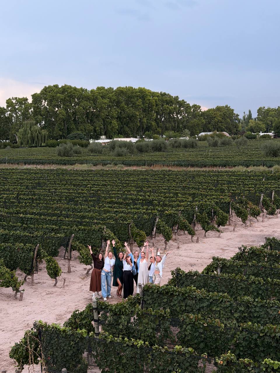 The group in a Luján de Cuyo vineyard at dusk