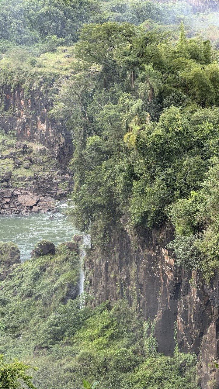 Iguazú jungle and cliffs